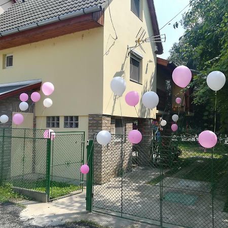 Villa Tiszavirag Vendeghaz Szegedin Exterior foto