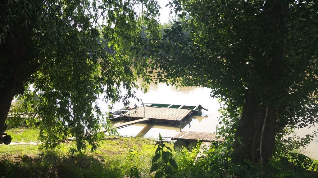 Villa Tiszavirag Vendeghaz Szegedin Exterior foto