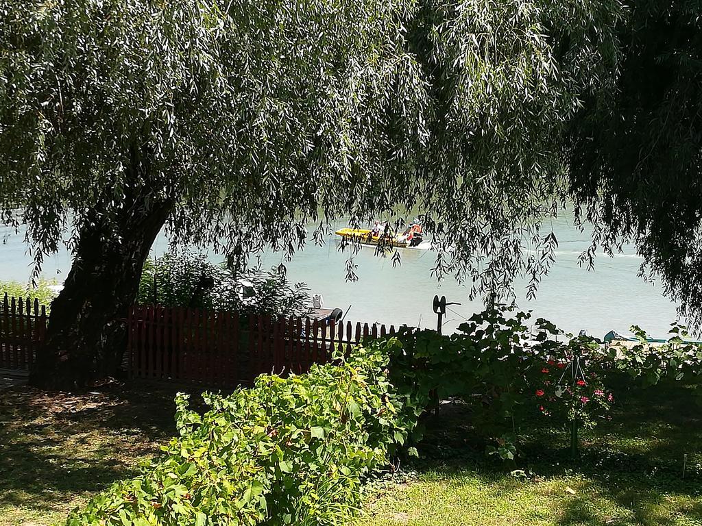 Villa Tiszavirag Vendeghaz Szegedin Exterior foto