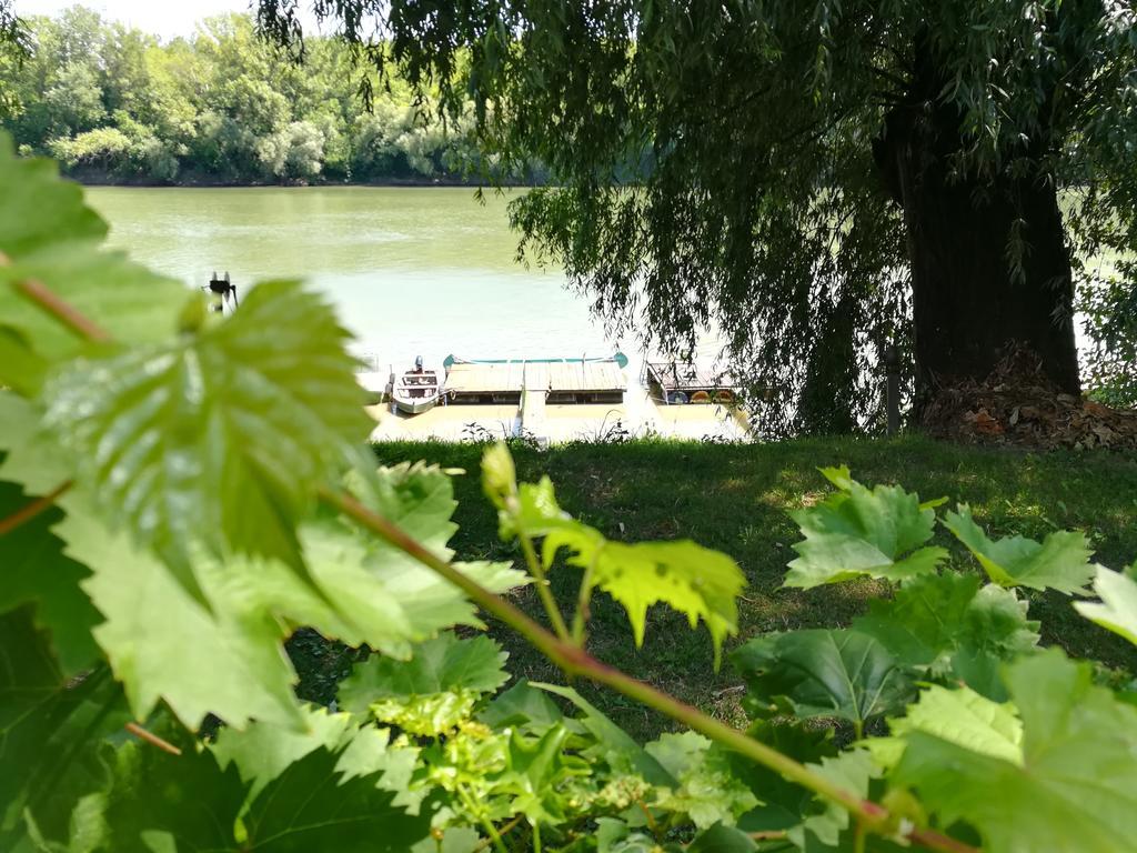 Villa Tiszavirag Vendeghaz Szegedin Exterior foto