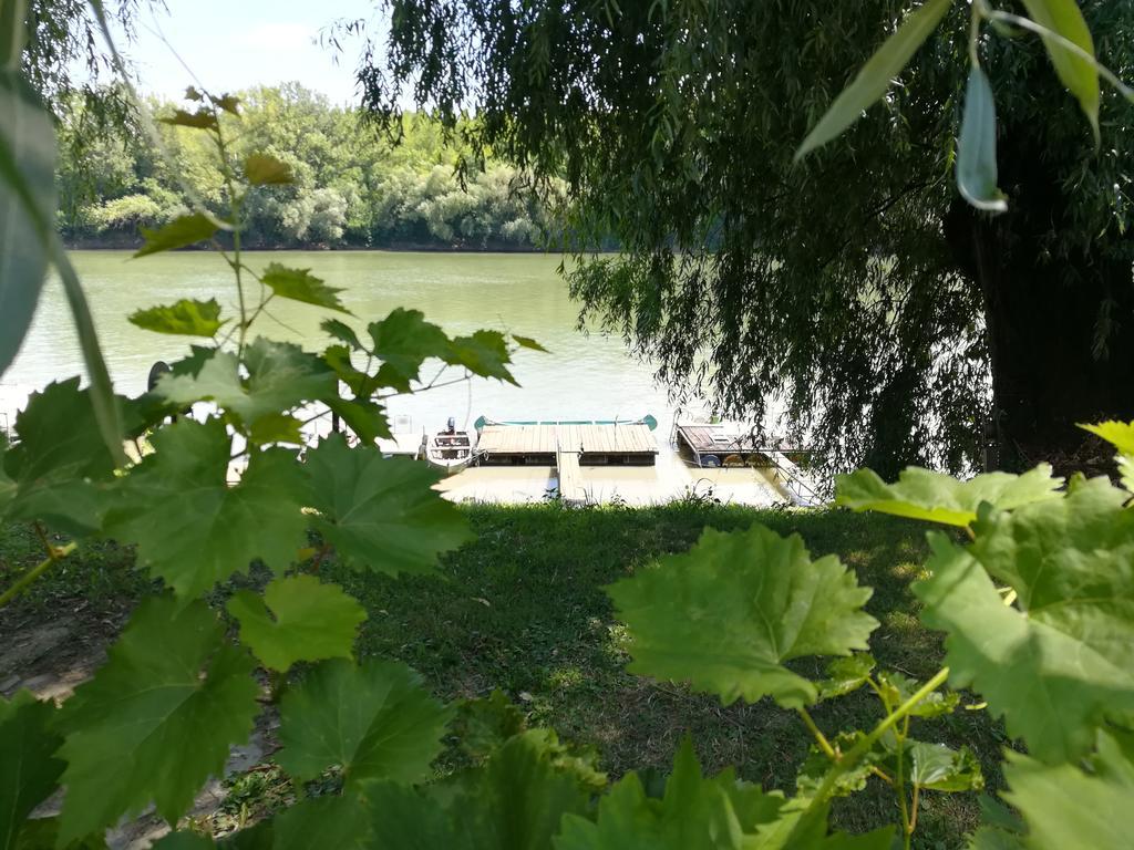 Villa Tiszavirag Vendeghaz Szegedin Exterior foto
