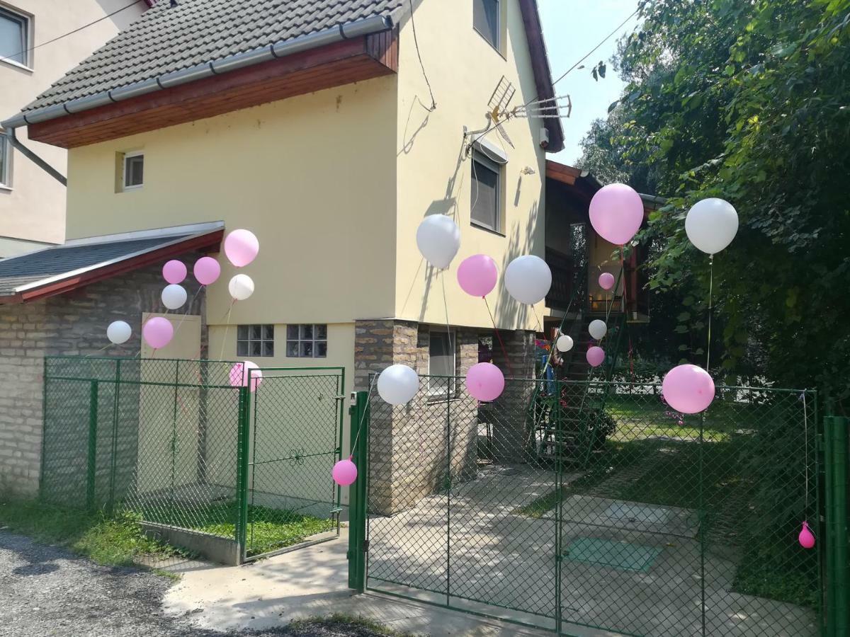 Villa Tiszavirag Vendeghaz Szegedin Exterior foto
