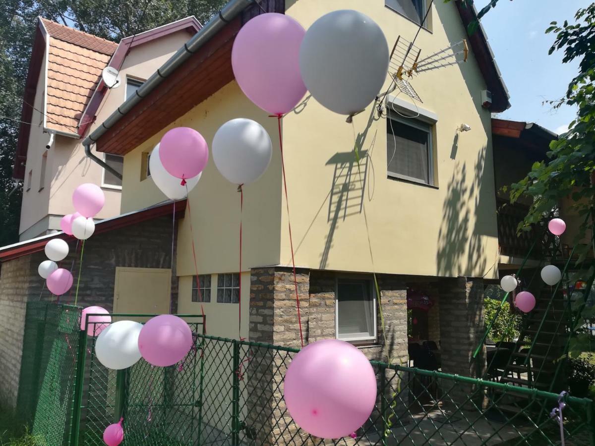 Villa Tiszavirag Vendeghaz Szegedin Exterior foto